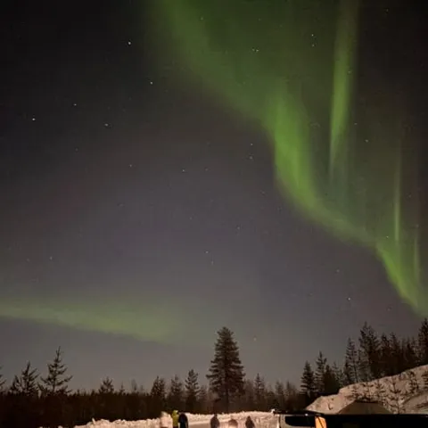 Aurora light above a snowy forest clearing