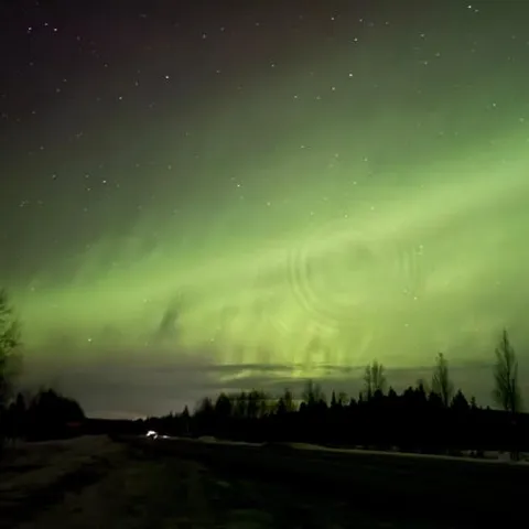A band of green aurora over a Lapland treeline