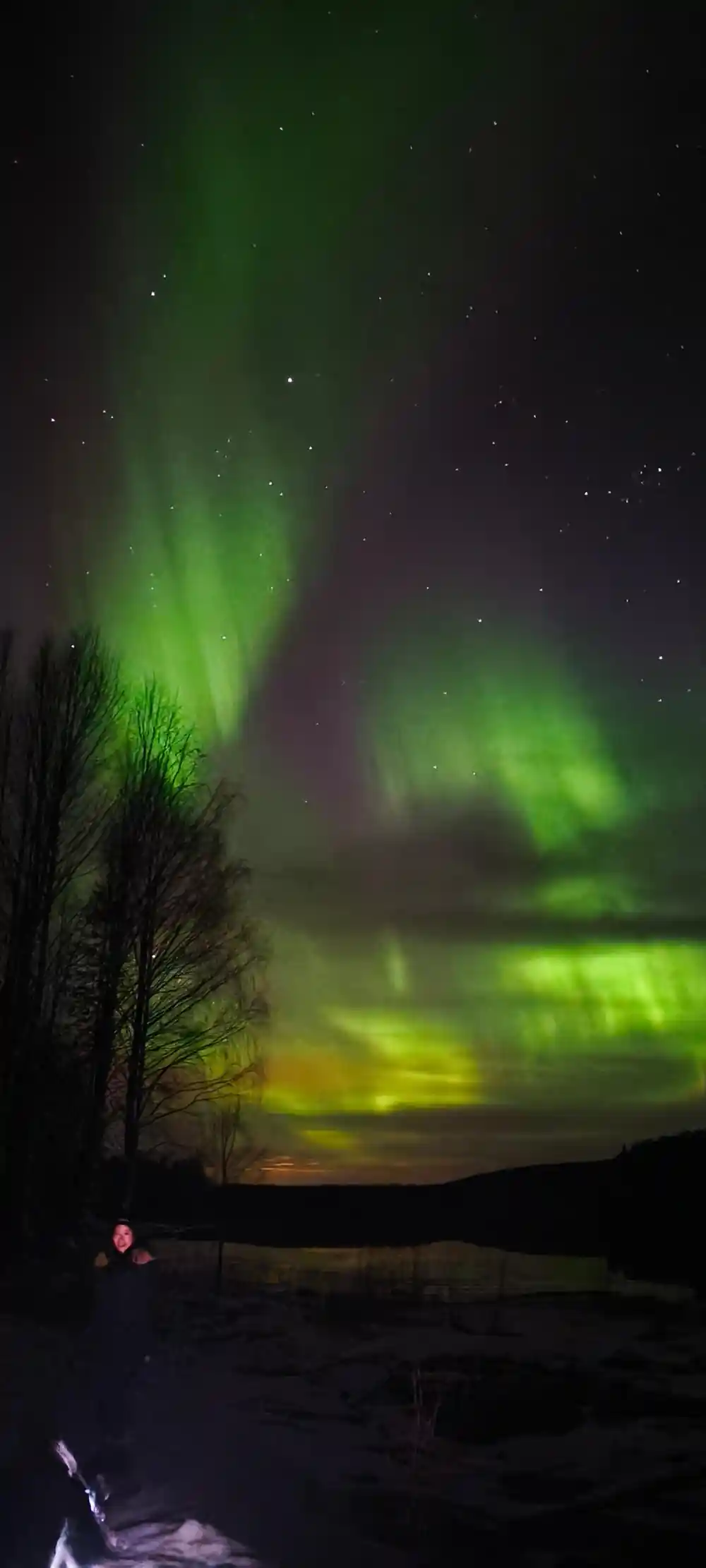 Aurora borealis dancing above snowy landscape with trees