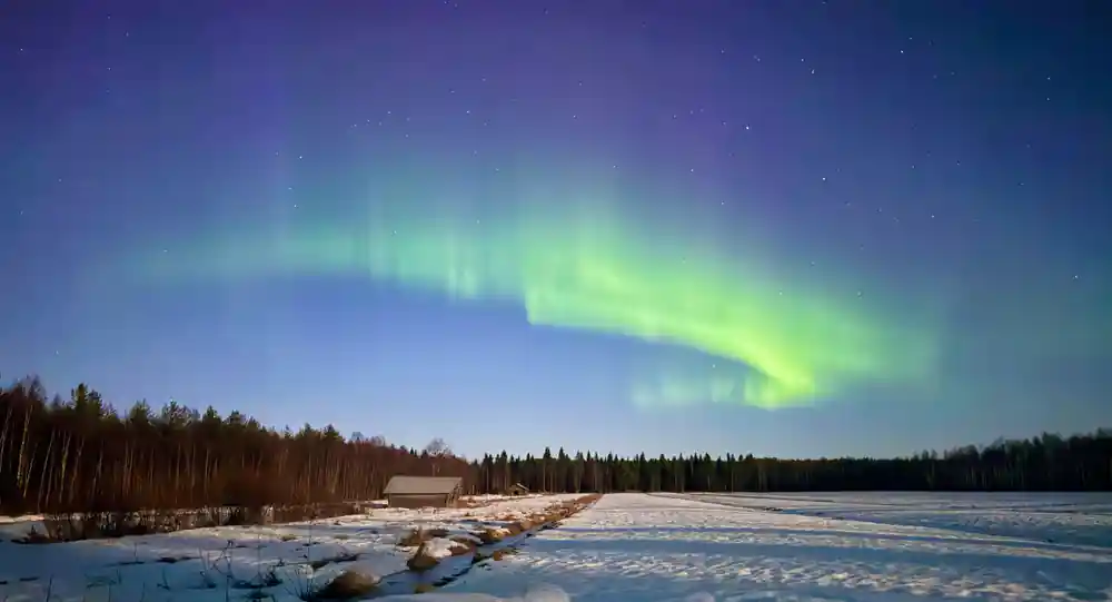 Aurora borealis over frozen lake with forest shoreline