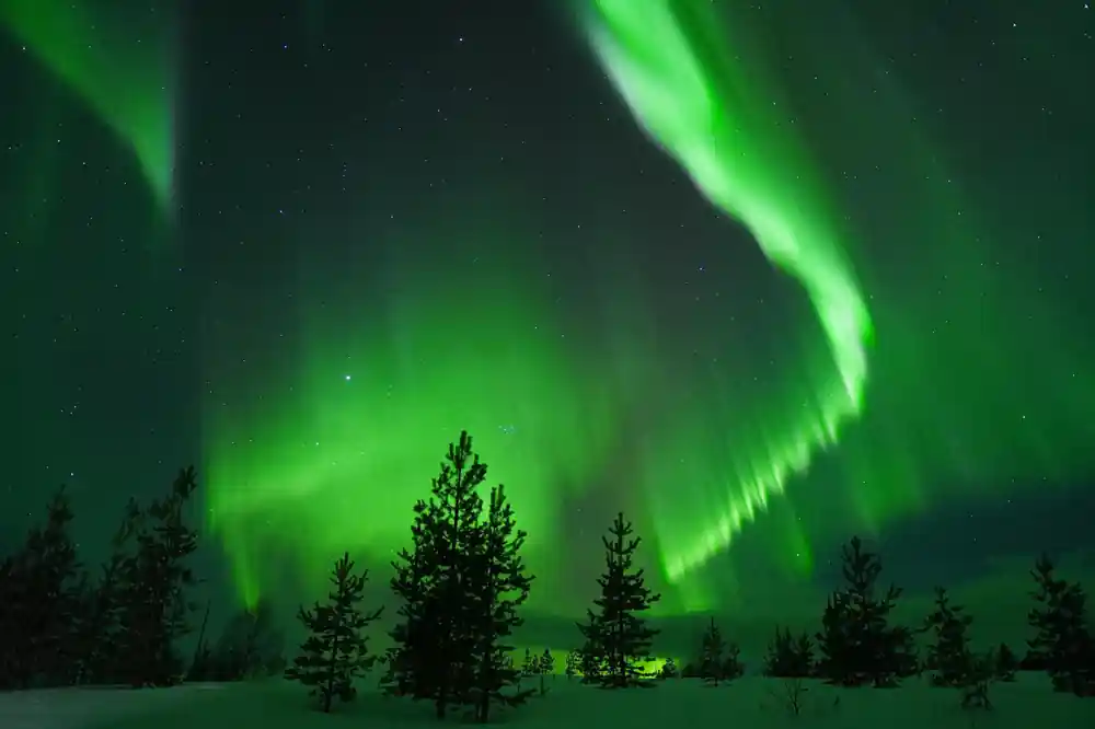 Aurora borealis over snowy forest landscape
