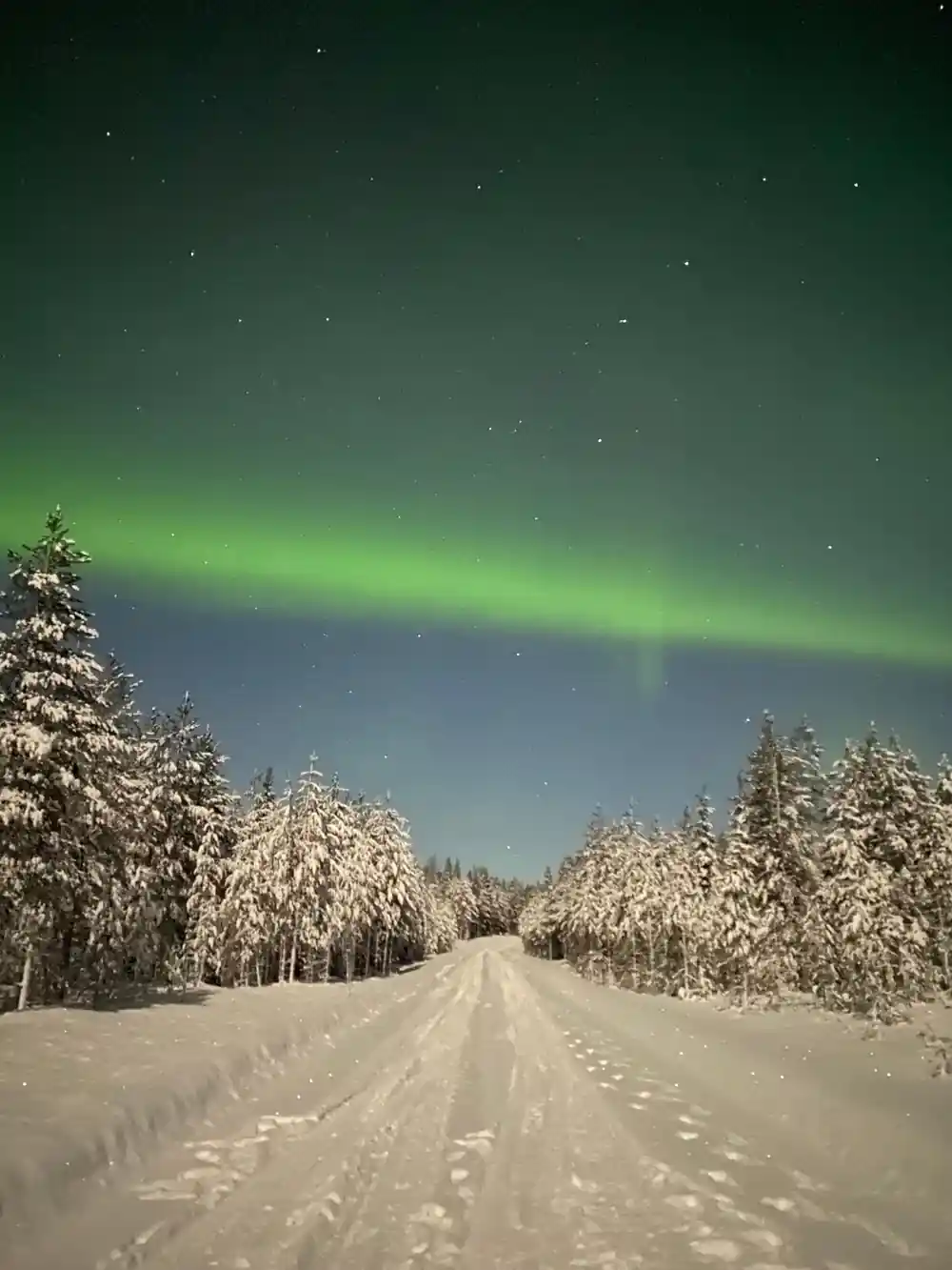 Aurora borealis above snowy forest road stretching ahead