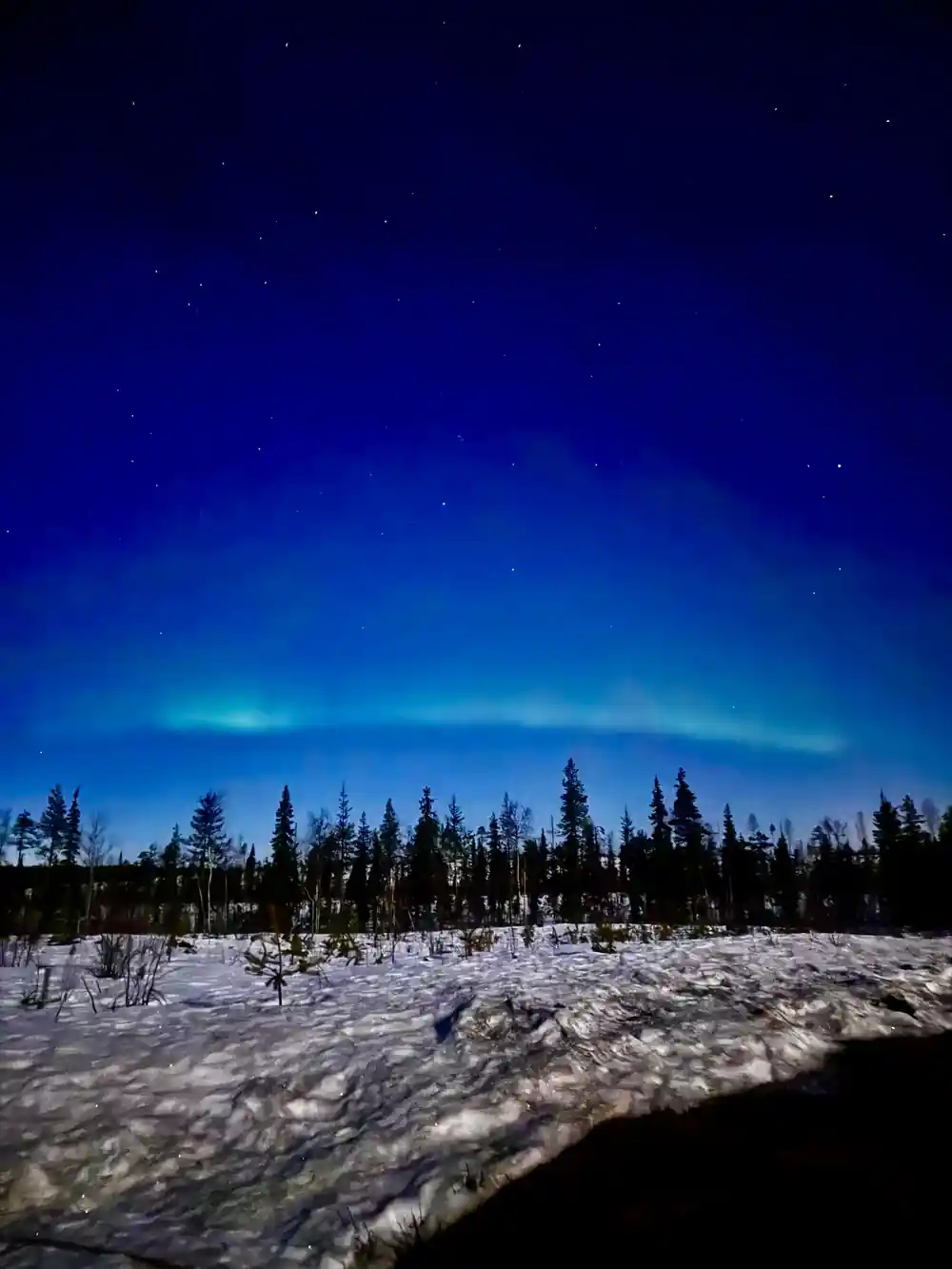 Bright aurora borealis band over snowy forest landscape