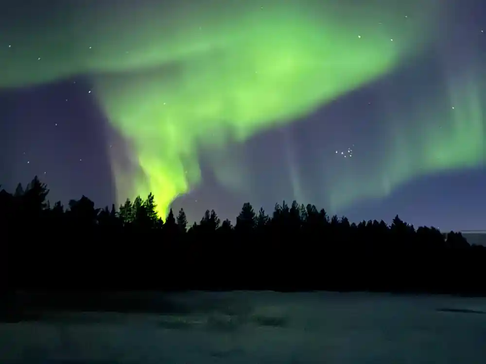Bright green aurora over forest treeline and frozen water