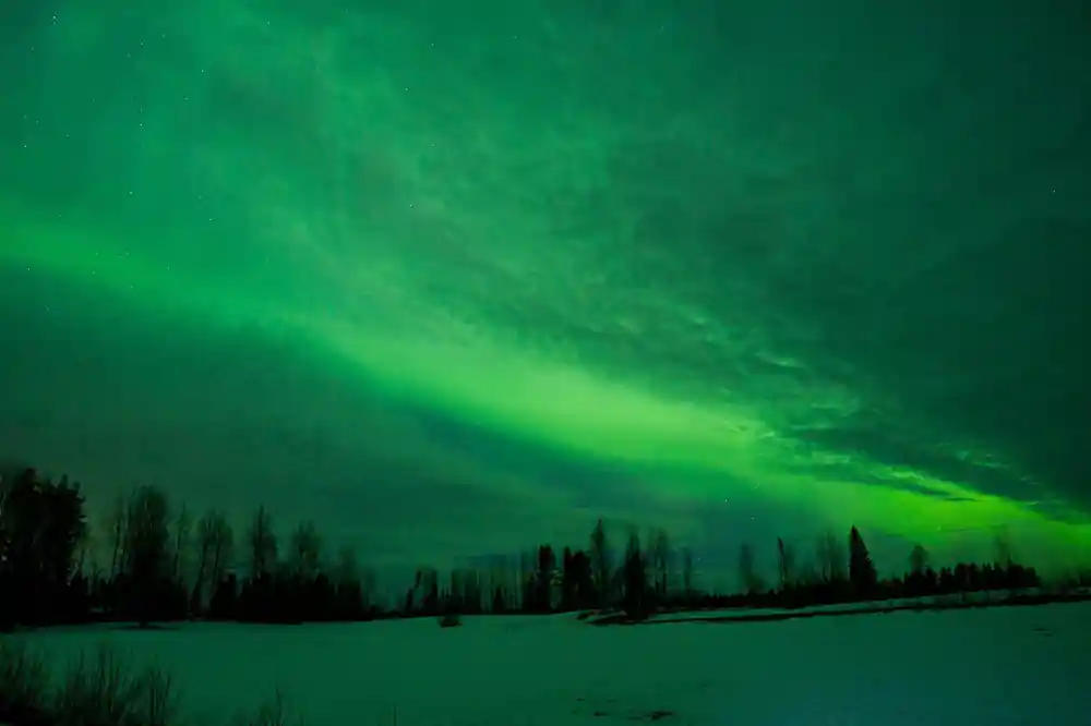 Green aurora borealis sweeping across sky above treeline