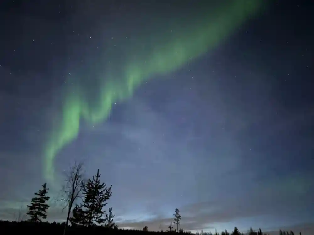 Green aurora curtain above silhouetted forest treeline