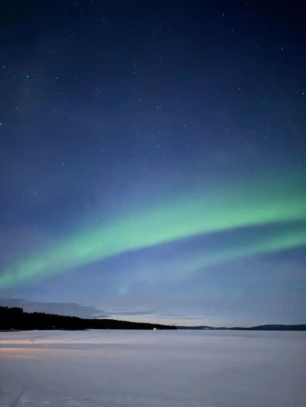 Green aurora over frozen lake with forested shoreline