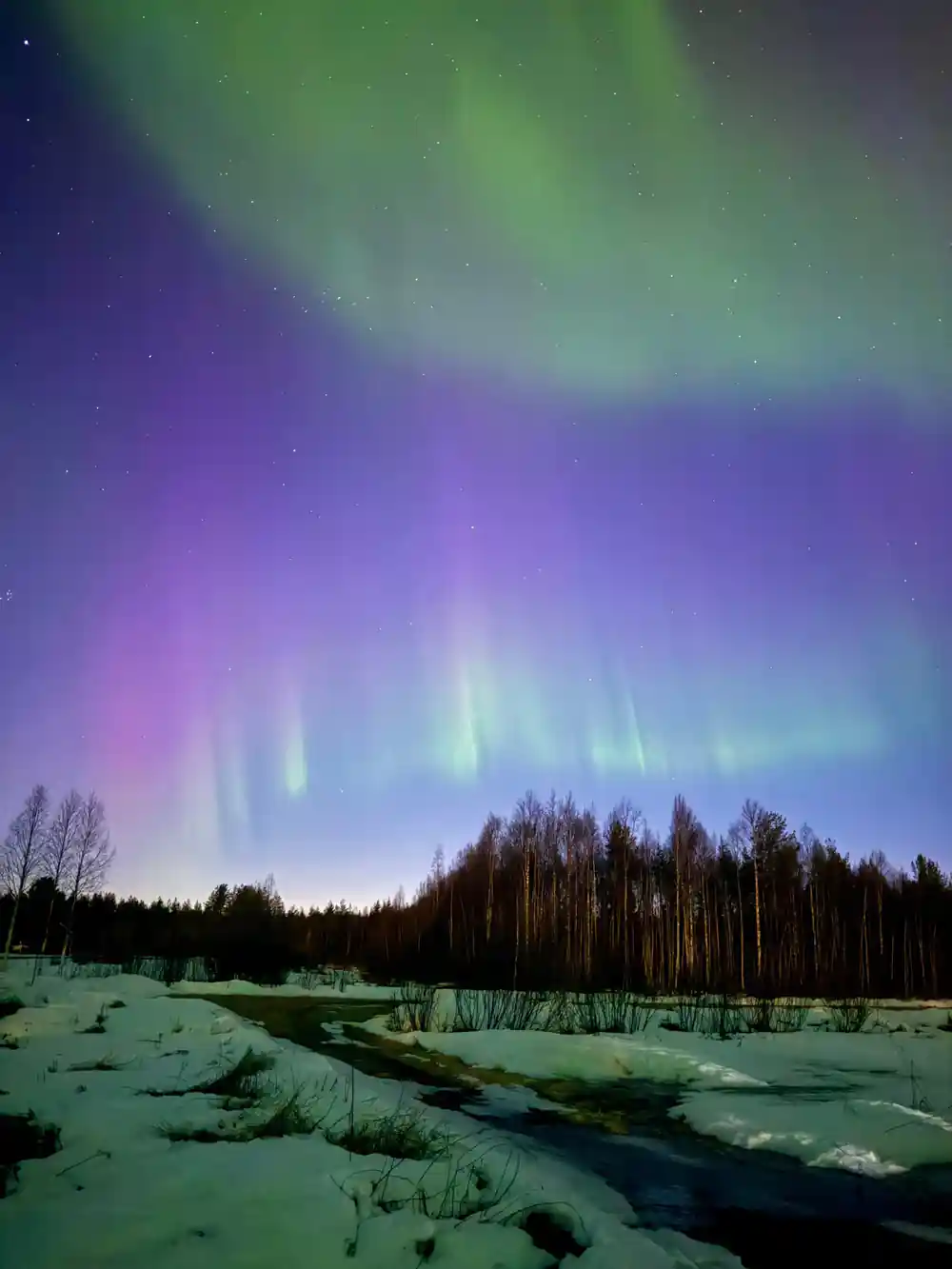 Green aurora above frozen river and birch forest