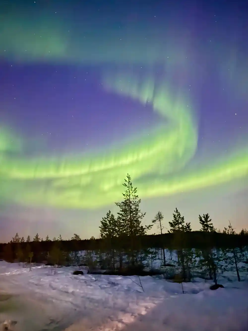 Swirling aurora borealis above snowy forested landscape